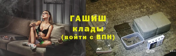 индика Абинск