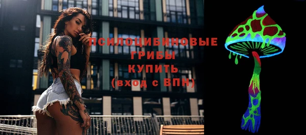 PSILOCYBIN Абдулино