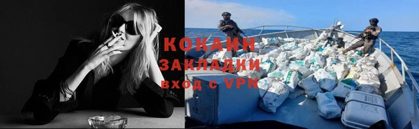ПСИЛОЦИБИНОВЫЕ ГРИБЫ Алзамай