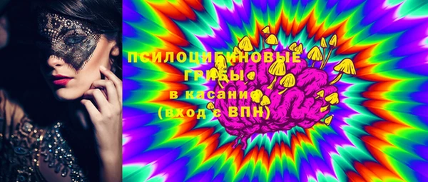ПСИЛОЦИБИНОВЫЕ ГРИБЫ Алзамай