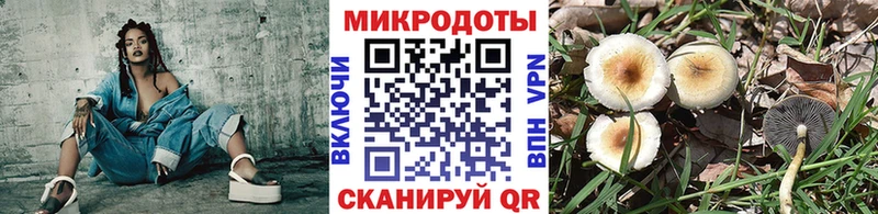 Псилоцибиновые грибы ЛСД  Кашин 