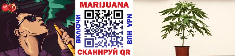 мега ТОР где купить наркотик Кашин Бошки марихуана планчик